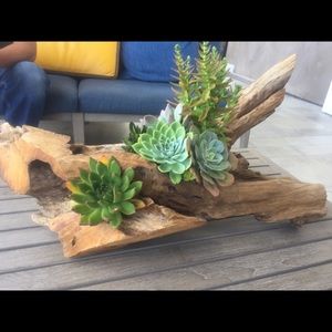 Meet your Posher, Ramiro